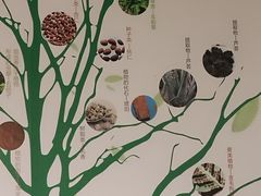 -广东中医药博物馆