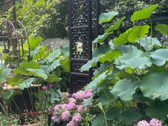 -杭州植物园