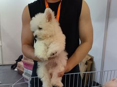 -宁波国际会展中心