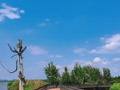 -捞渔河湿地公园