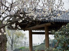 -国际非物质文化遗产博览园