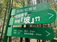 -莫干山风景区
