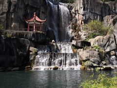 -金鸡山公园