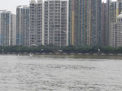 -海心沙亚运公园