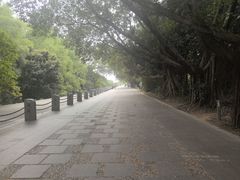 -宝安西湾红树林湿地公园