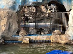 -华夏文旅海洋公园