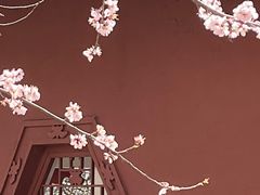 -桃花堤公园