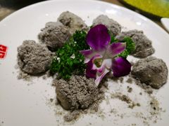 -百年银屏蚝烙·潮汕菜·非遗(乐山店)