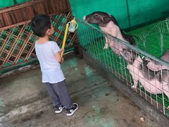 -史努比缤纷世界