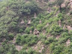 -圣莲山风景区