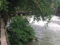 -贵阳市花溪国家城市湿地公园