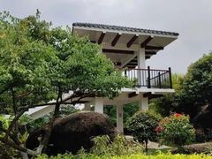 -玉树公园