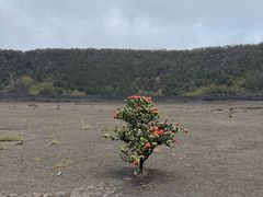 -夏威夷火山国家公园