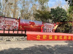 -合肥滨湖国家森林公园