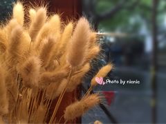 -治愈系甜品The Soothing Dessert(科海大楼店)