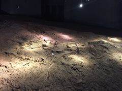 -世界恐龙谷景区