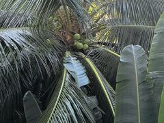 -海南清水湾莱佛士酒店