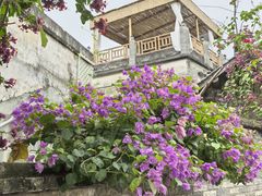 -三溪村