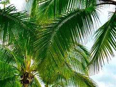 -三亚西岛海洋文化旅游区