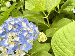 -临平公园(临平街道)
