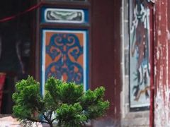 -玉泉观
