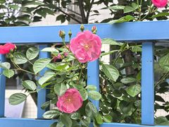-南京邮电大学(仙林校区)