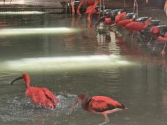 -石家庄市动物园