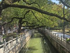 -安亭老街