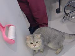 -纳吉亚猫专科动物诊疗中心(蒋宅口分院)