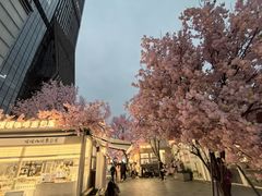 -首开·龙湖成都西宸天街