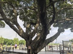 -黄埔古港