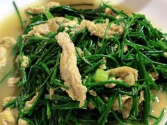 -范记靖远羊羔肉(博物馆店)