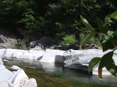 -黑河国家森林公园