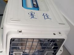 -北京赛佳动物医院