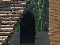 -南昌动物园