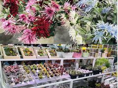 -KKV(天津津南吾悦广场店)