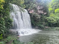 -黄荆老林
