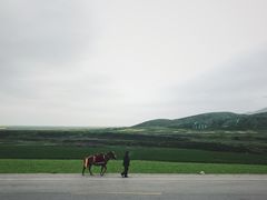 -扁都口生态休闲旅游区
