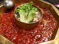 -蜀九香火锅(彩虹店)