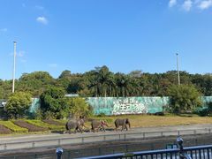 -深圳野生动物园