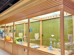 -帕帕拉兹宠物(亚洲旗舰店)