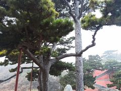 -妙峰山风景名胜区