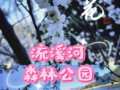 -广州市流溪河国家森林公园