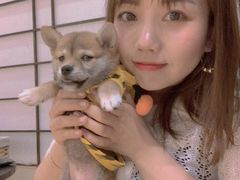 -逗柴咖啡屋·狗咖猫咖宠物桌游