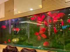 -上海精菜馆(虎踞关店)