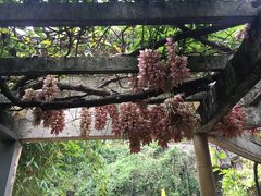 -大雁山风景区