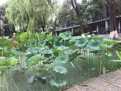 -四川大学(望江校区)