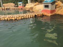 -江门古兜温泉小镇
