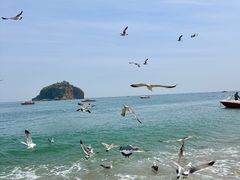 -棒棰岛宾馆景区