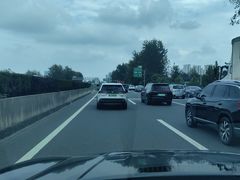 -合肥滨湖国家森林公园